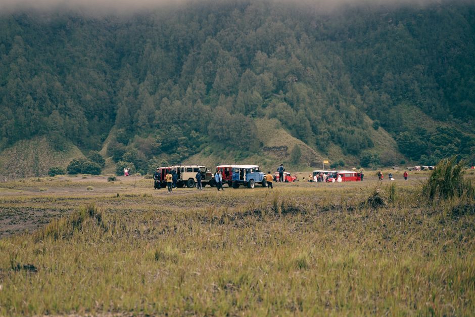 Viral Sejumlah Oknum TNI Dituduh Ambil Lembu Warga, Pemilik Lahan Beri Penjelasan